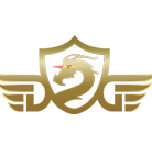 dg icon