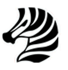 zebra icon